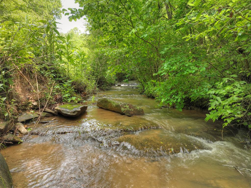 84.37 Ac Bethel Road Property Photo 19