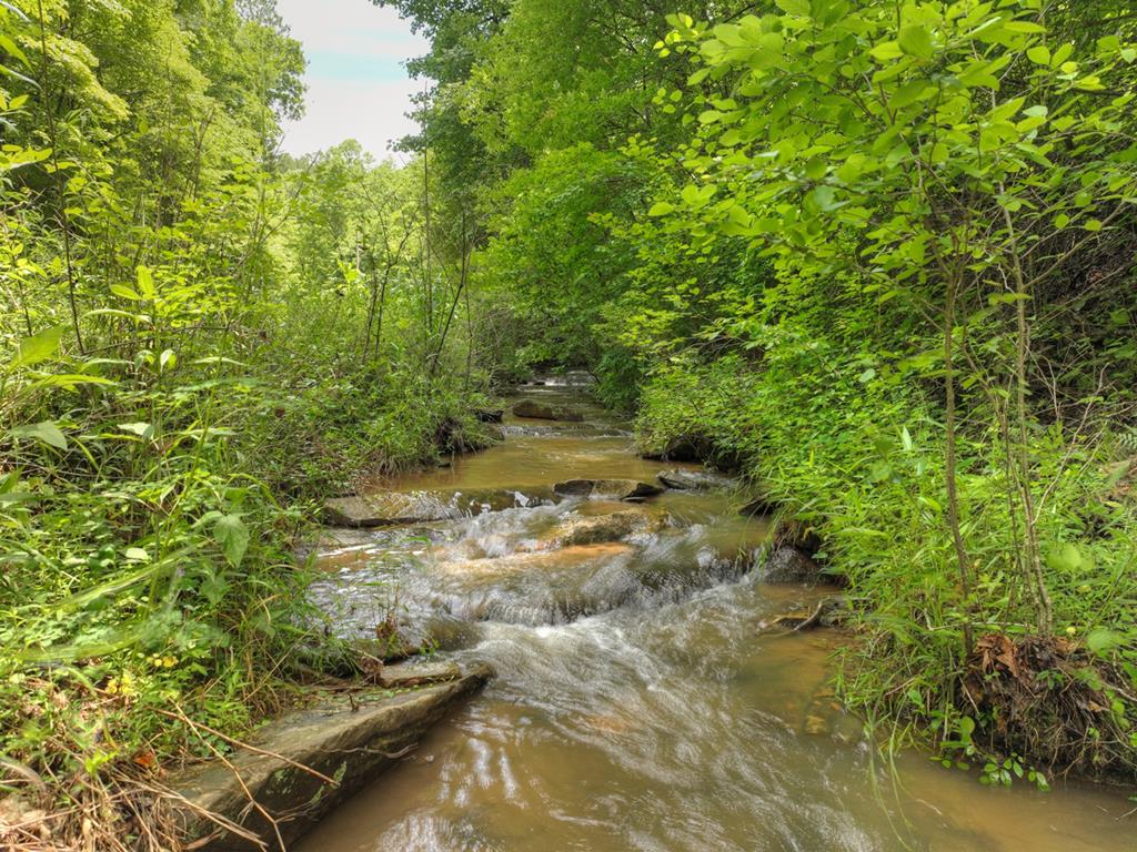 84.37 Ac Bethel Road Property Photo 20