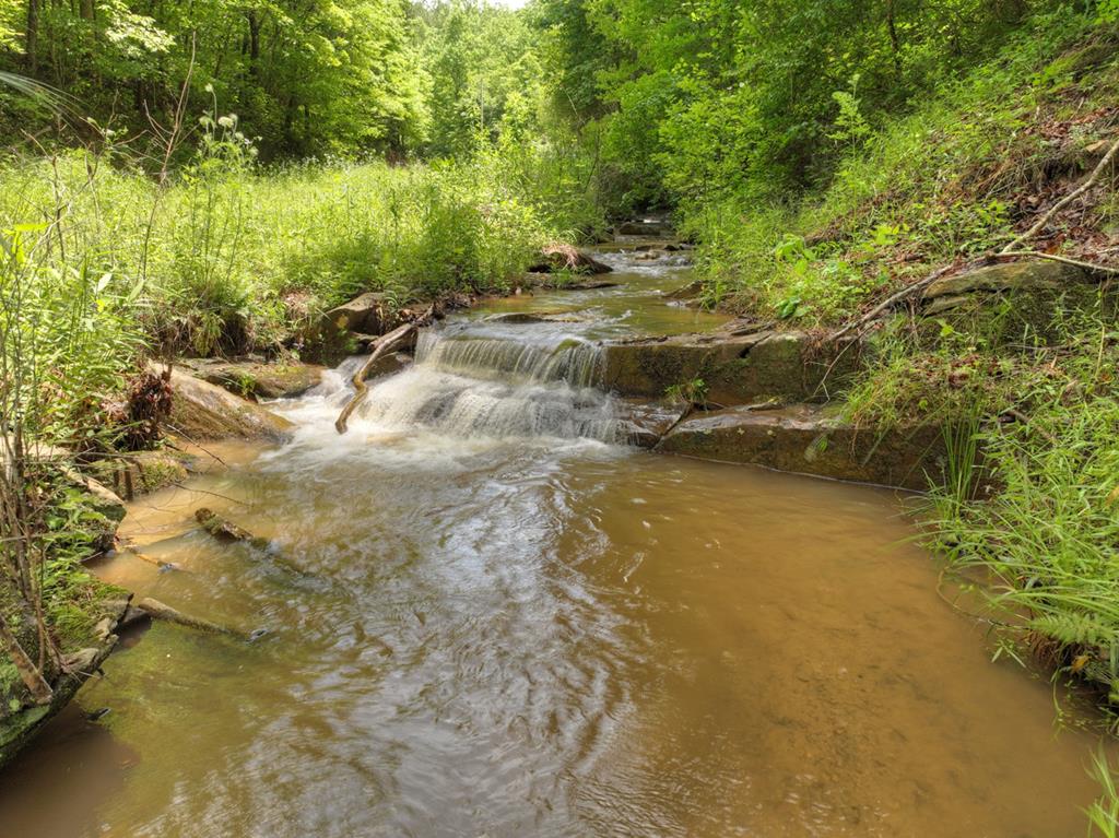84.37 Ac Bethel Road Property Photo 21