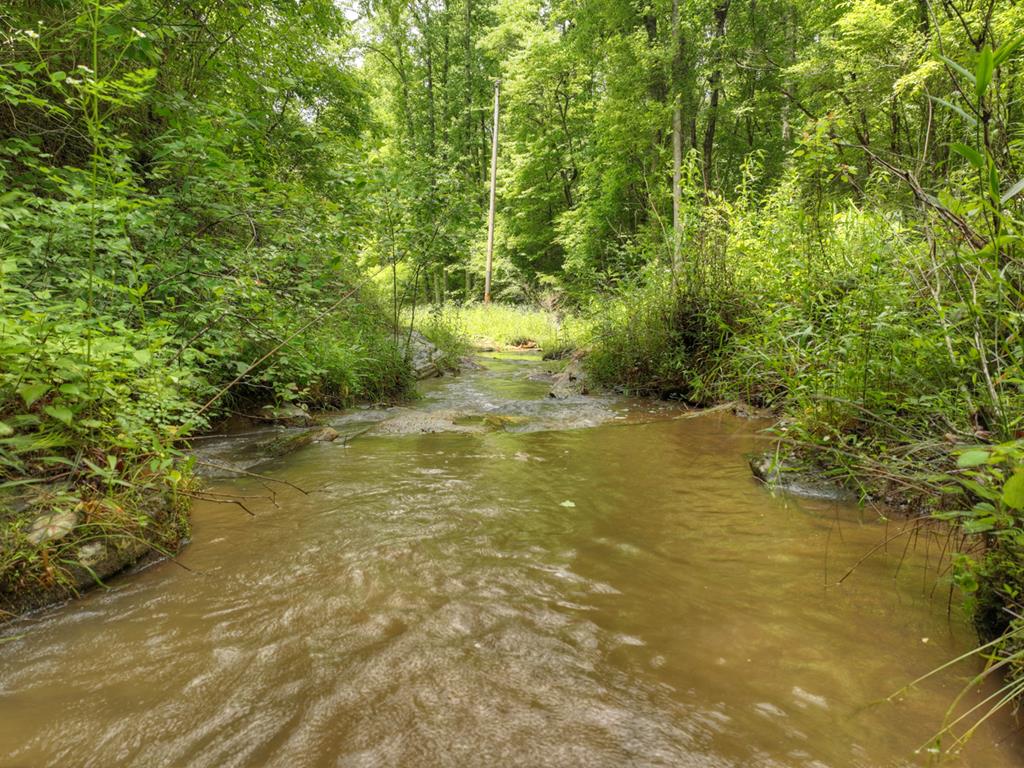 84.37 Ac Bethel Road Property Photo 29