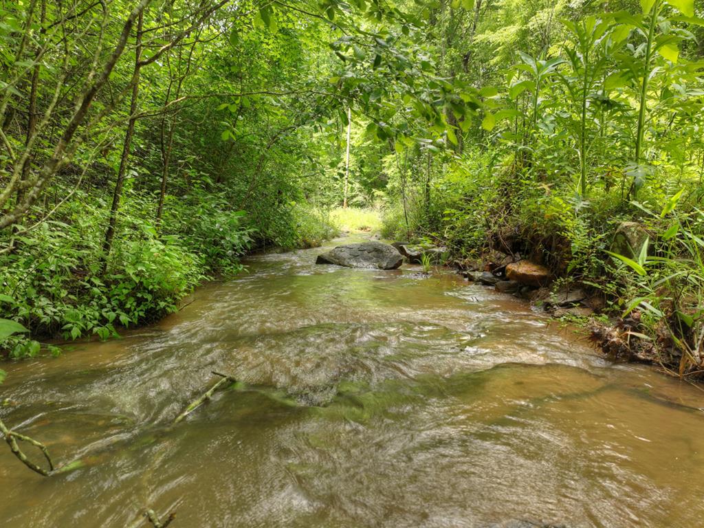 84.37 Ac Bethel Road Property Photo 30