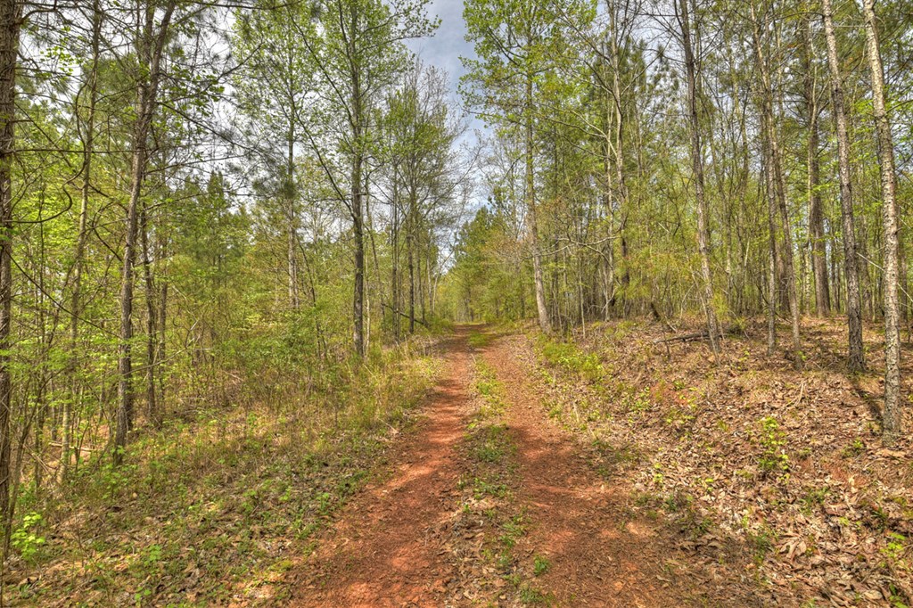 84.37 Ac Bethel Road Property Photo 32