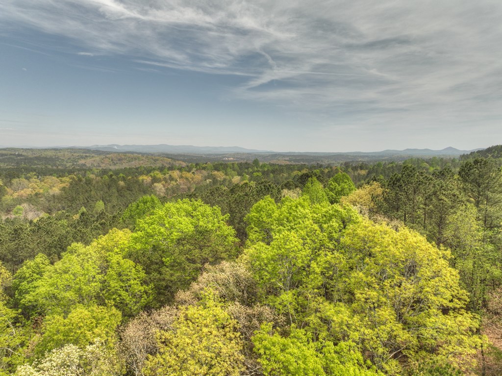 84.37 Ac Bethel Road Property Photo 34