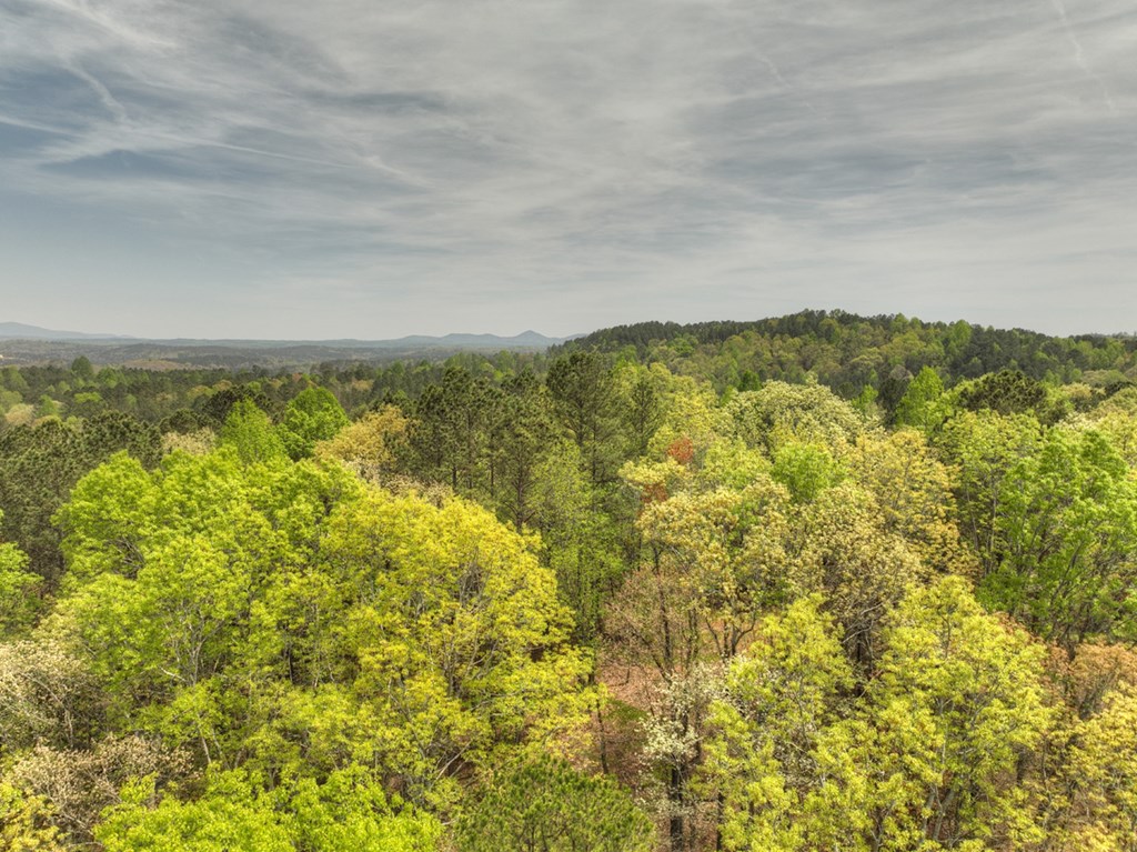 84.37 Ac Bethel Road Property Photo 35