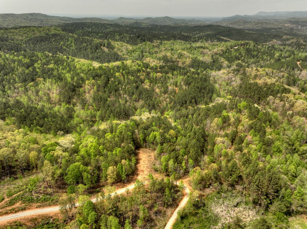 84.37 Ac Bethel Road Property Photo 39