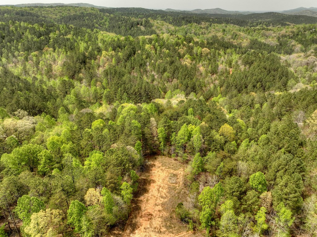 84.37 Ac Bethel Road Property Photo 40