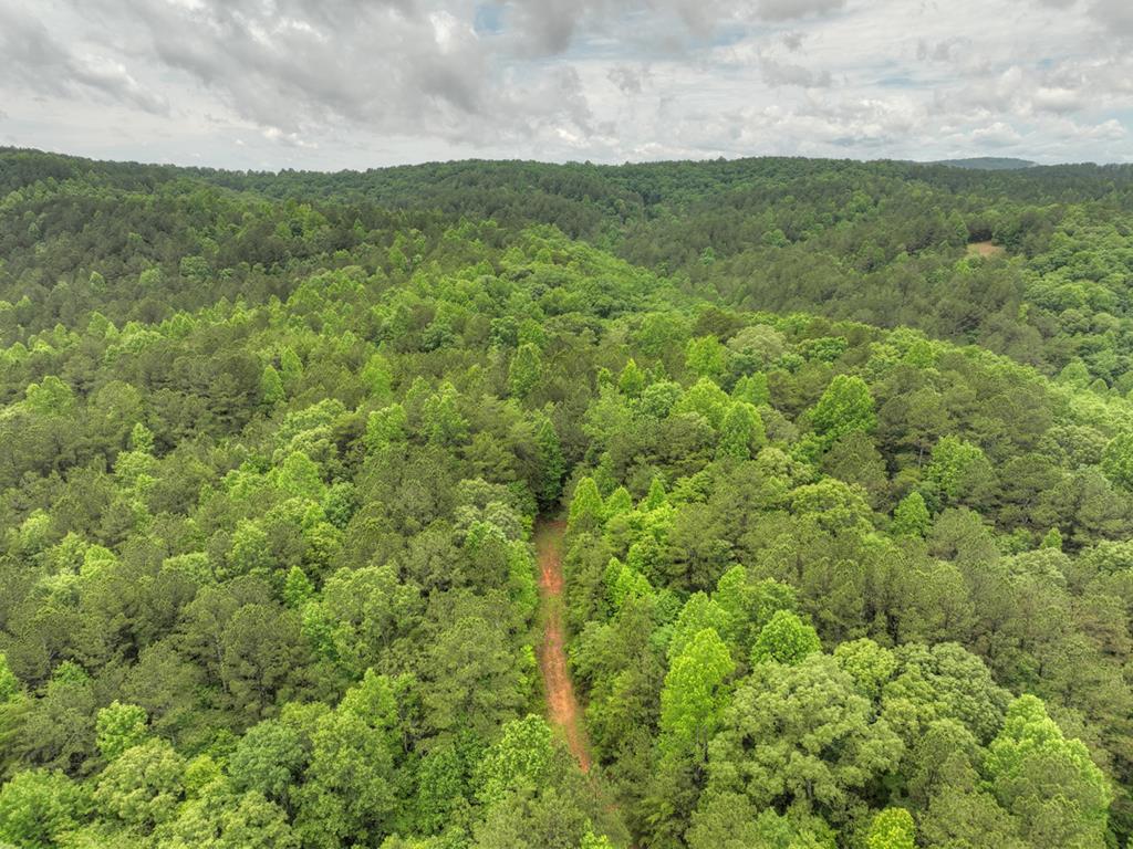 84.37 Ac Bethel Road Property Photo 41
