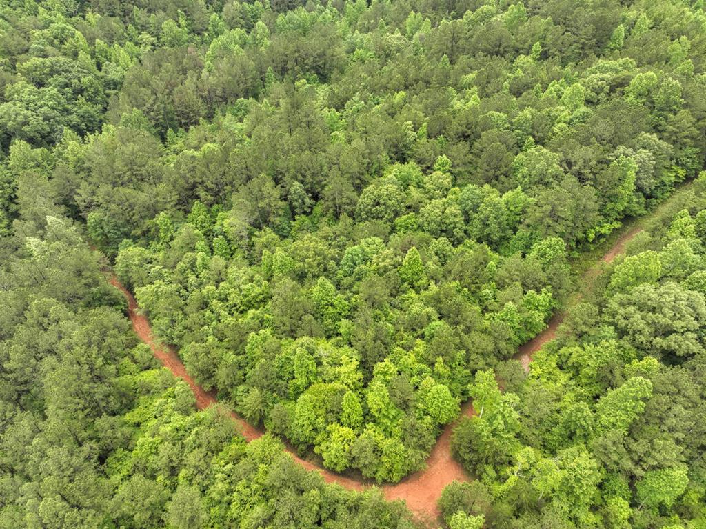 84.37 Ac Bethel Road Property Photo 42