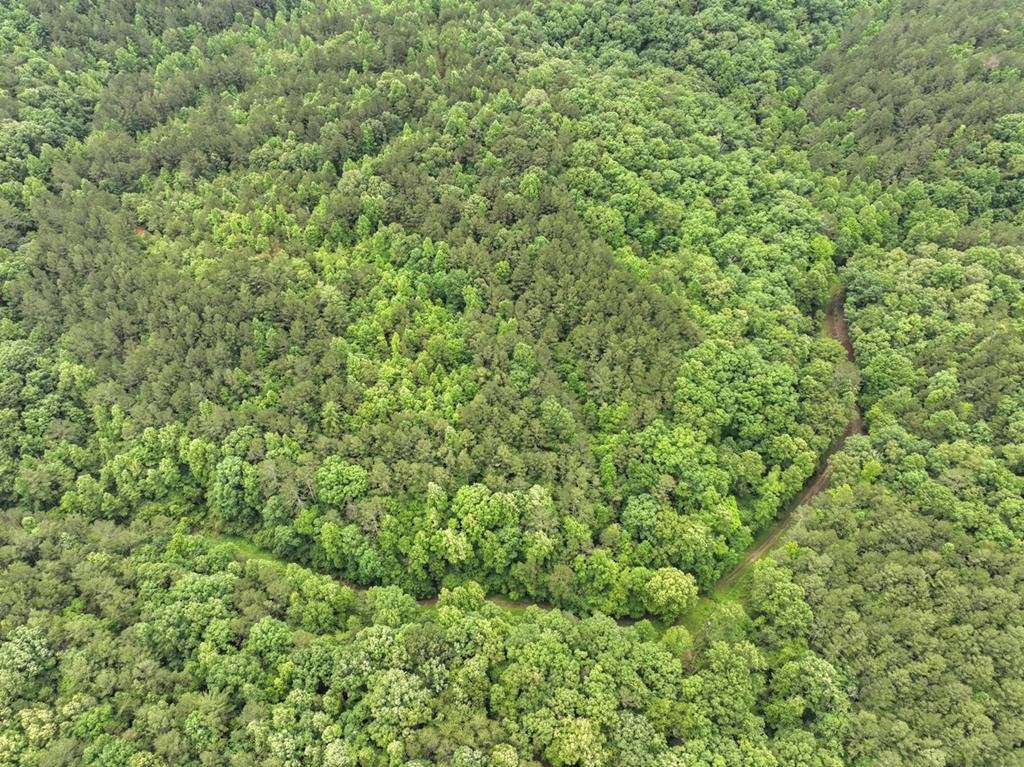 84.37 Ac Bethel Road Property Photo 43