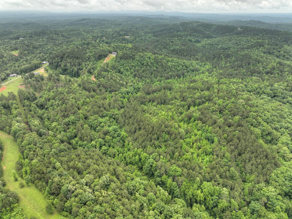 84.37 Ac Bethel Road Property Photo 44