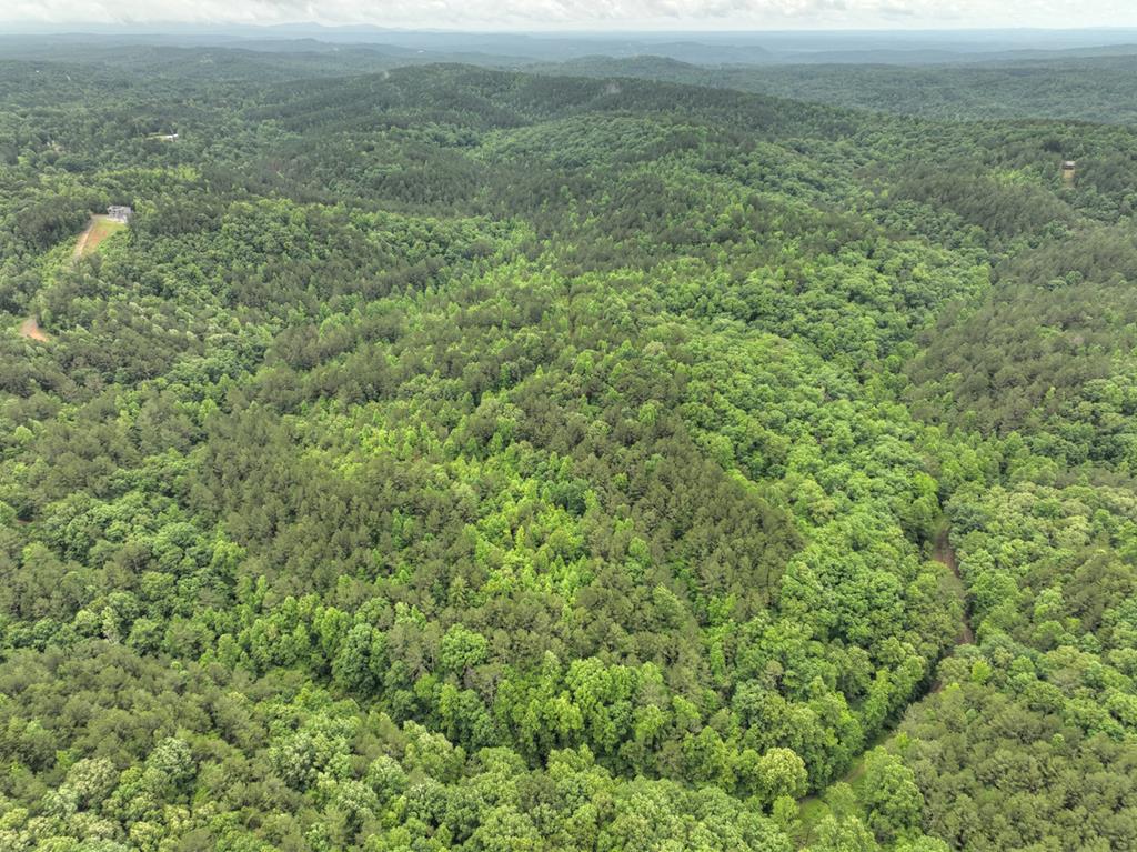 84.37 Ac Bethel Road Property Photo 45