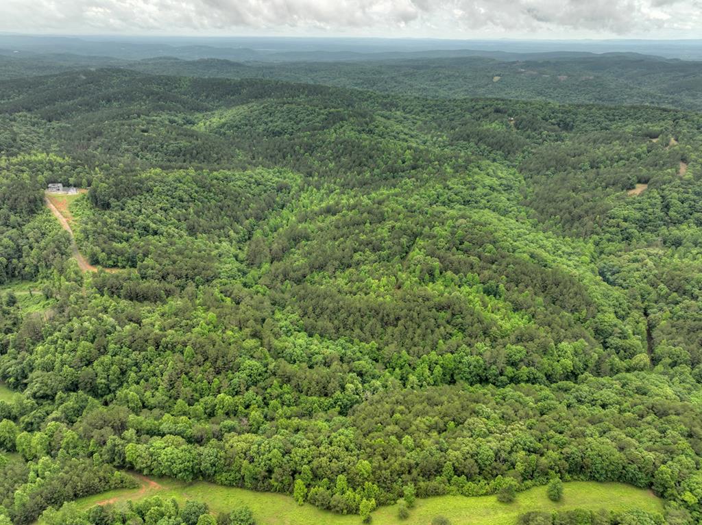 84.37 Ac Bethel Road Property Photo 47