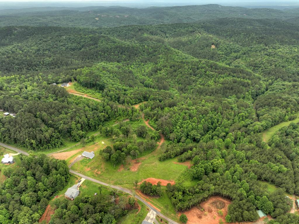 84.37 Ac Bethel Road Property Photo 48