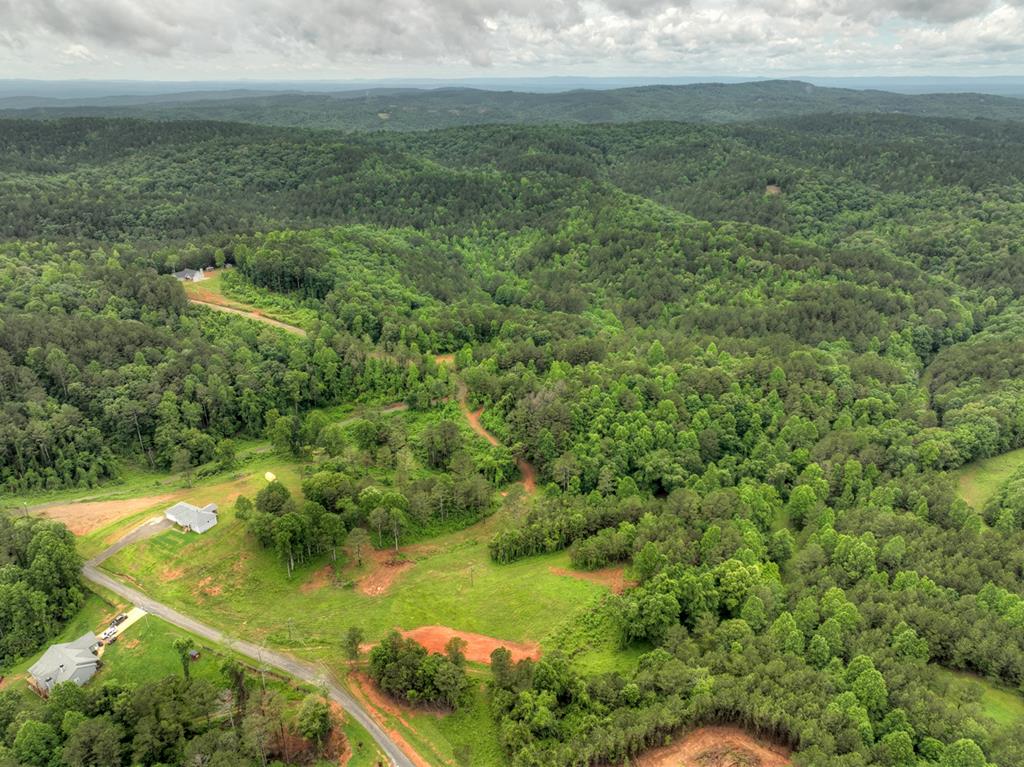 84.37 Ac Bethel Road Property Photo 49