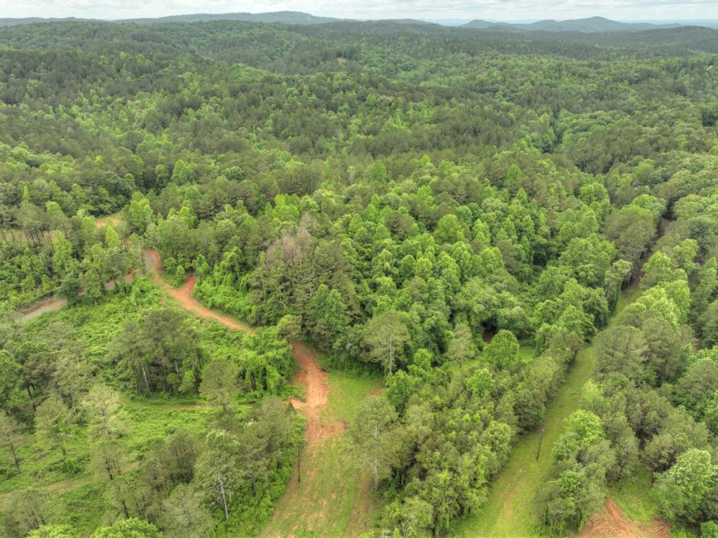 84.37 Ac Bethel Road Property Photo 50