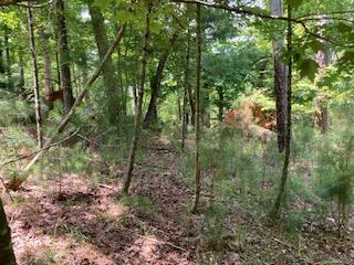 Lt 3041 Parnell Drive Property Photo 1