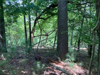 Lt 3041 Parnell Drive Property Photo 3