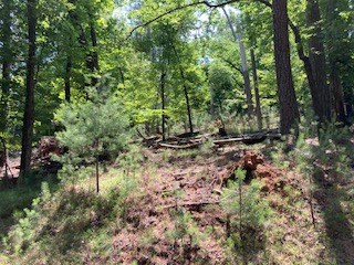 Lt 3041 Parnell Drive Property Photo 8