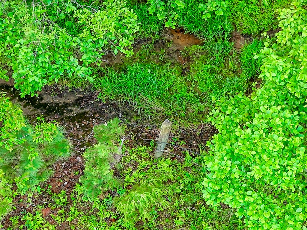 Off Mason Road Property Photo 9