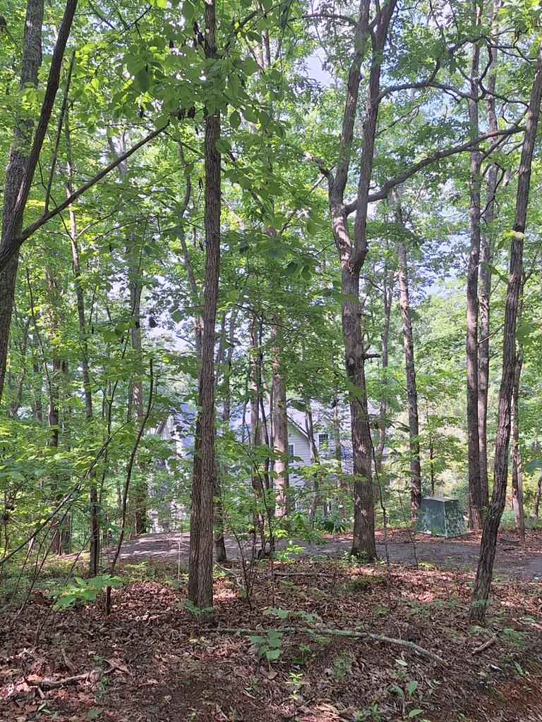 0 Sunrock Mountain Trc Property Photo 1