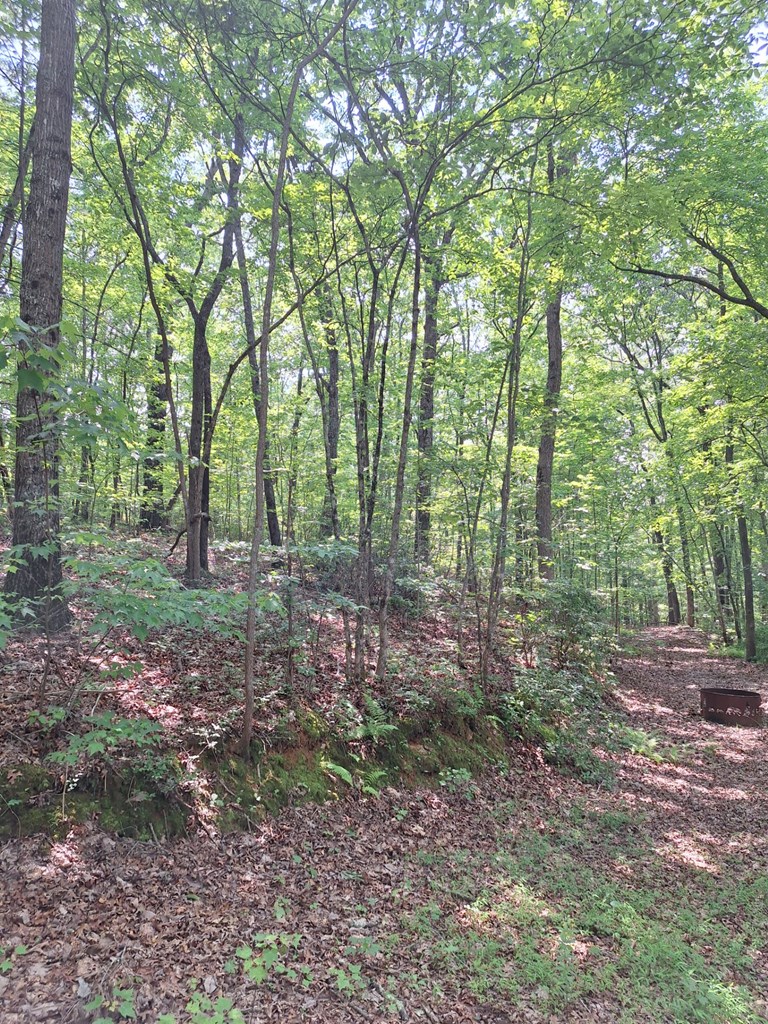 0 Sunrock Mountain Trc Property Photo 2