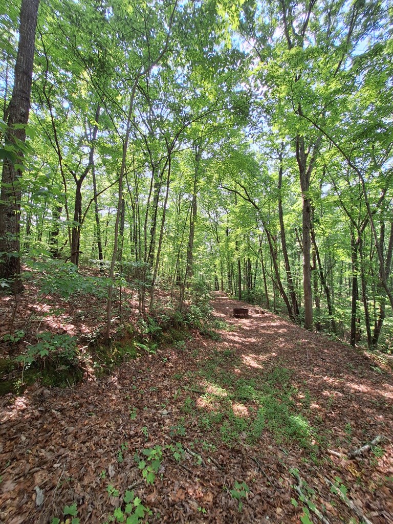 0 Sunrock Mountain Trc Property Photo 4