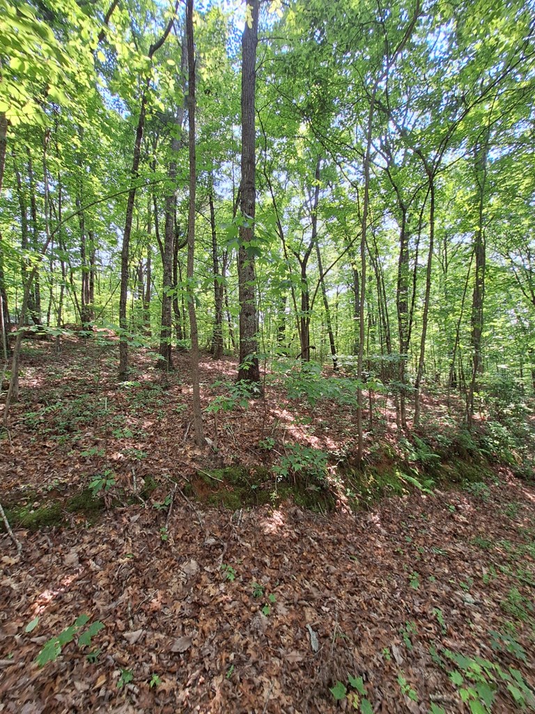 0 Sunrock Mountain Trc Property Photo 5