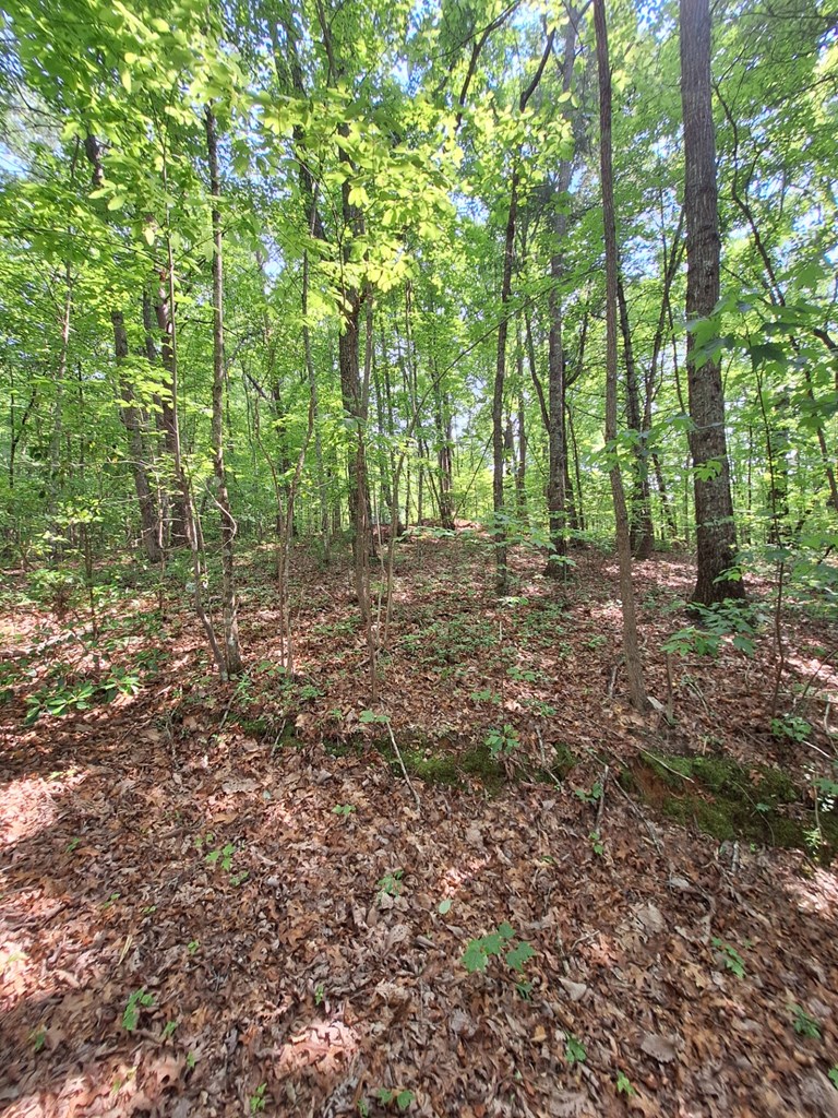 0 Sunrock Mountain Trc Property Photo 6