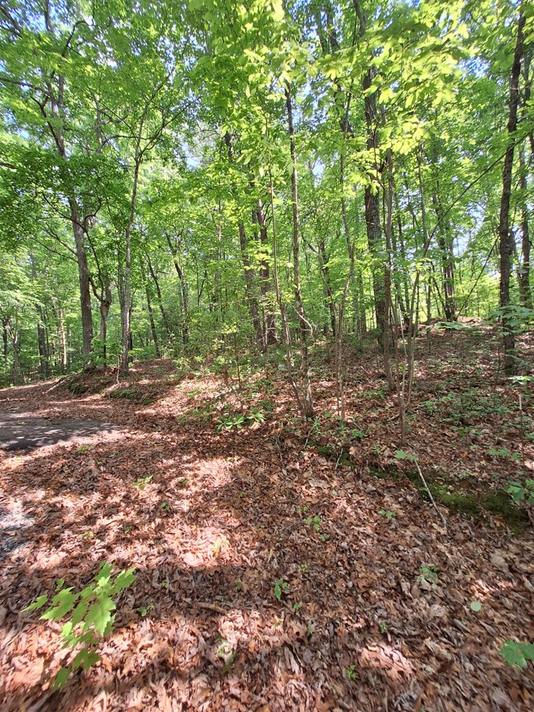 0 Sunrock Mountain Trc Property Photo 7
