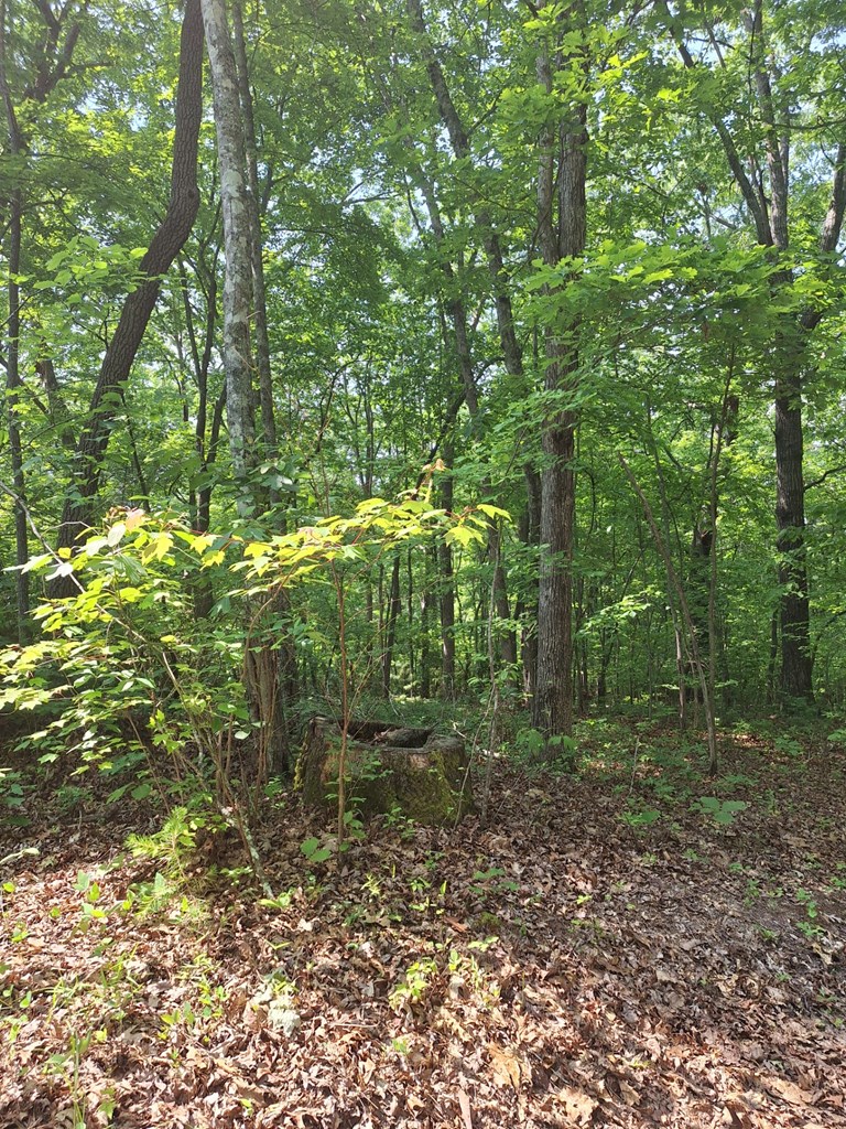 0 Sunrock Mountain Trc Property Photo 8