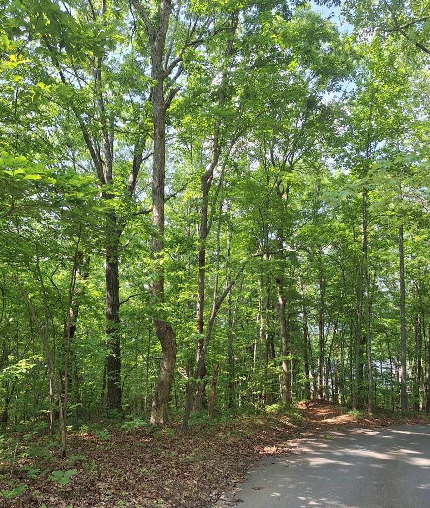 0 Sunrock Mountain Trc Property Photo 9