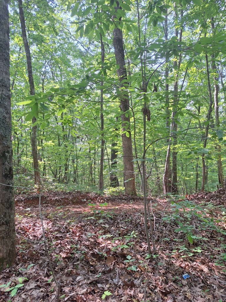 0 Sunrock Mountain Trc Property Photo 10