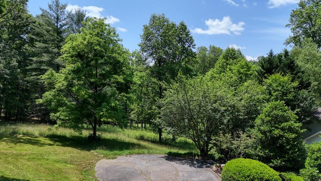 0 Chickasaw Lane Property Photo 1