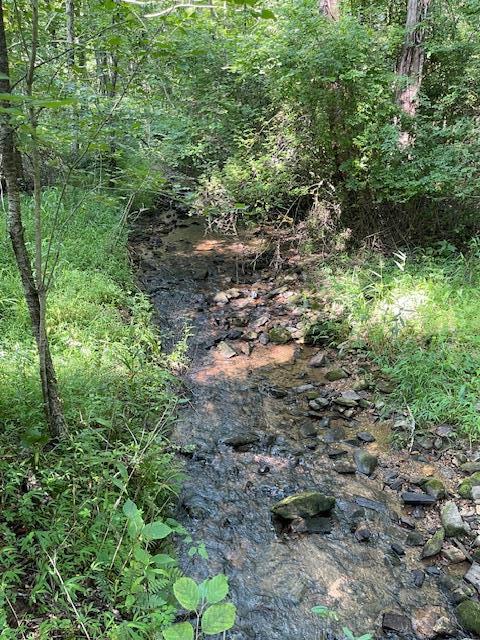 0 Chickasaw Lane Property Photo 3