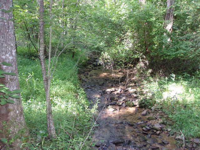 0 Chickasaw Lane Property Photo 4