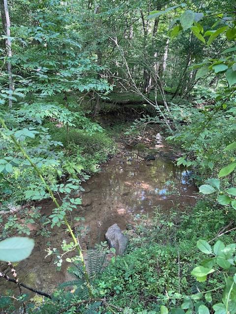 0 Chickasaw Lane Property Photo 11