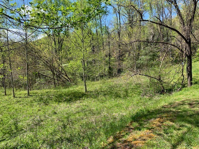Lot 6 High Meadows Property Photo 5