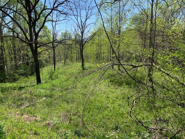 Lot 6 High Meadows Property Photo 6