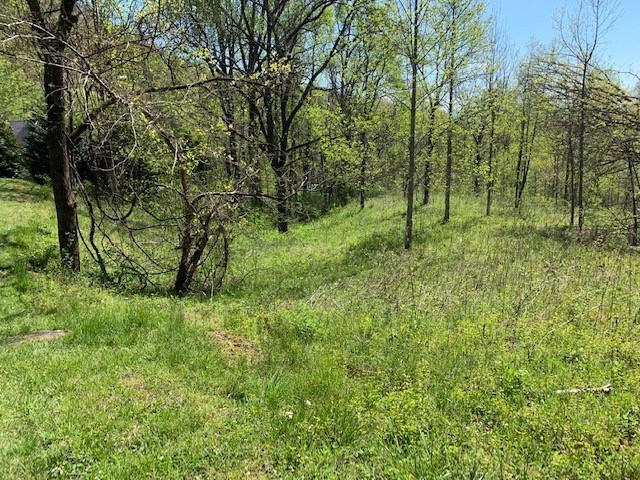Lot 6 High Meadows Property Photo 9
