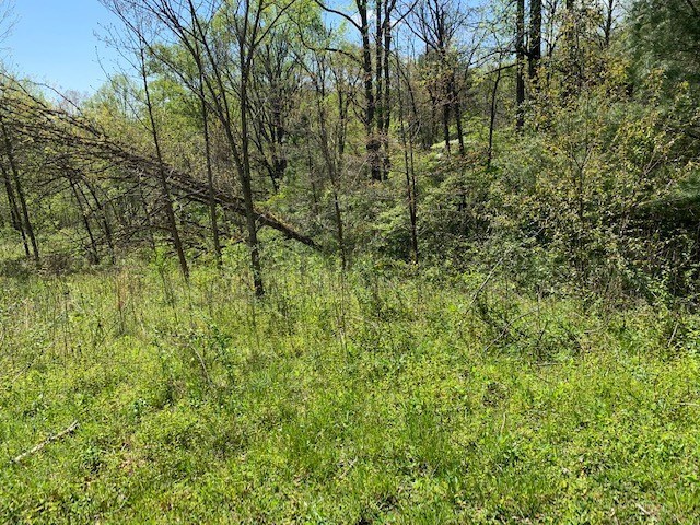 Lot 6 High Meadows Property Photo 10