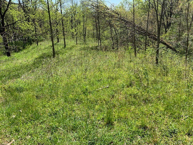 Lot 6 High Meadows Property Photo 11