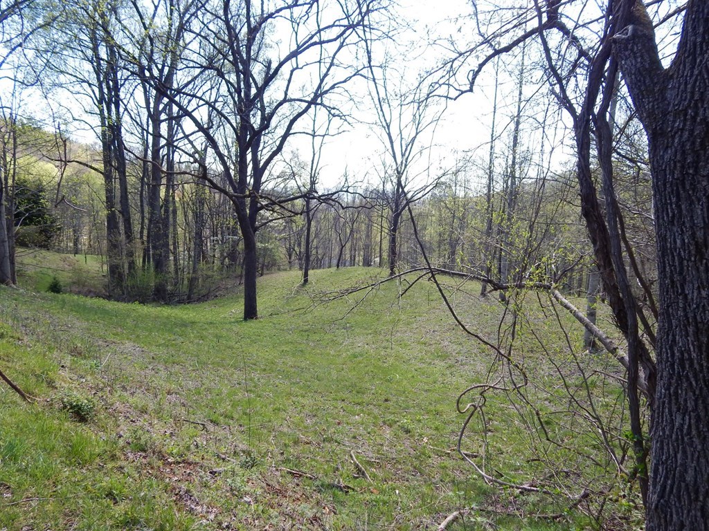 Lot 6 High Meadows Property Photo 13