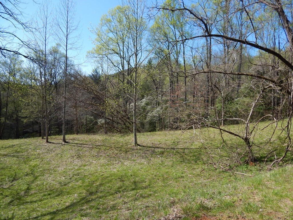 Lot 6 High Meadows Property Photo 14