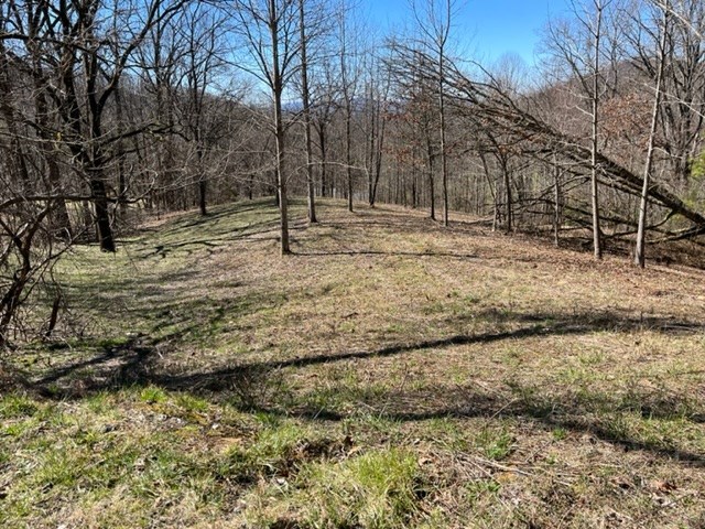 Lot 6 High Meadows Property Photo 15