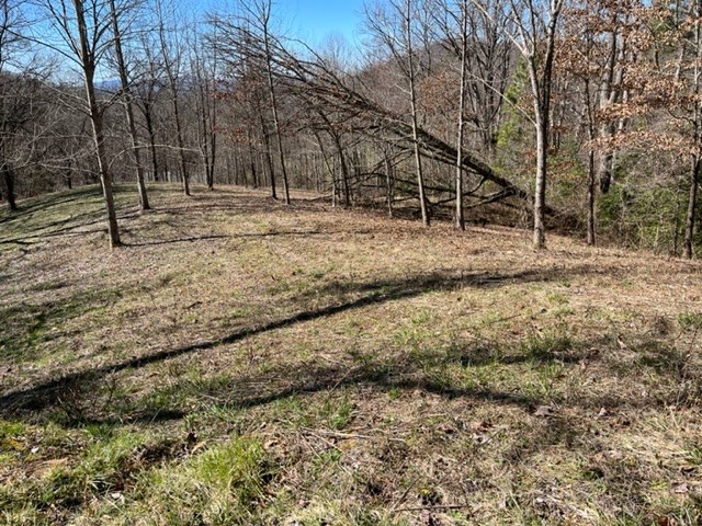 Lot 6 High Meadows Property Photo 17