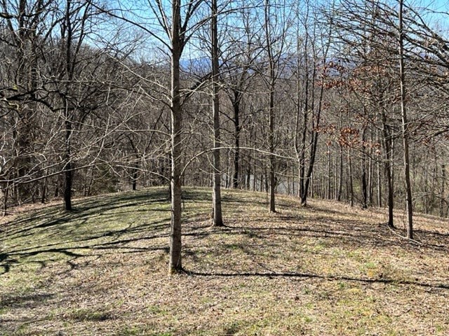 Lot 6 High Meadows Property Photo 18