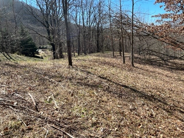 Lot 6 High Meadows Property Photo 21