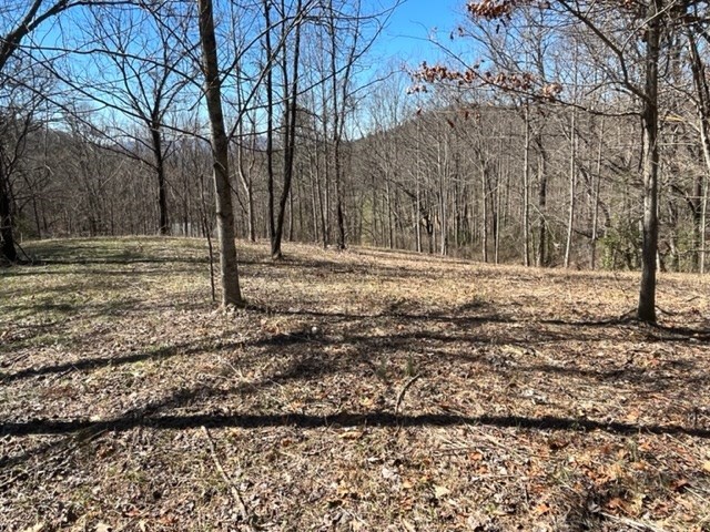 Lot 6 High Meadows Property Photo 22