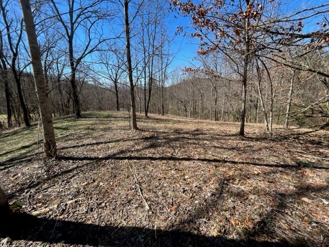 Lot 6 High Meadows Property Photo 23