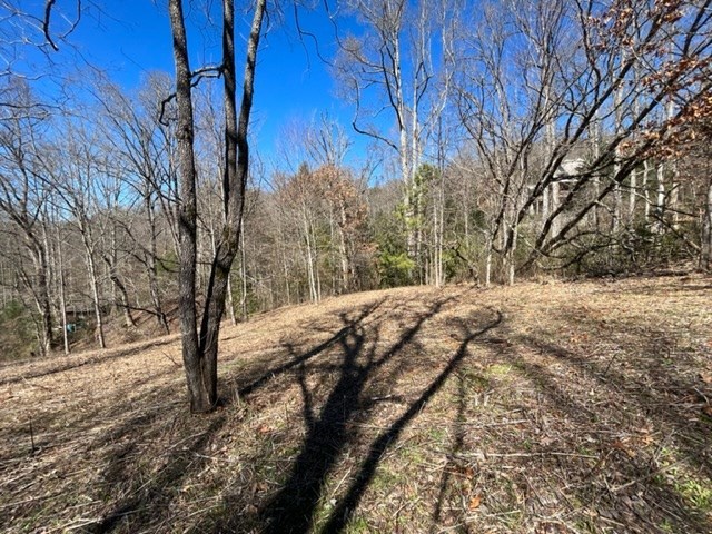 Lot 6 High Meadows Property Photo 26